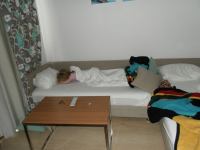 SAM_1691.JPG - 2013:05:10 06:04:16