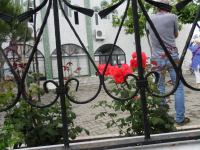 SAM_1706.JPG - 2013:05:11 09:48:13