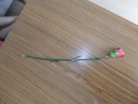 SAM_1755.JPG - 2013:05:12 07:32:55