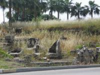 SAM_1761.JPG - 2013:05:12 08:21:32