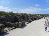 SAM_1782.JPG - 2013:05:12 08:36:51