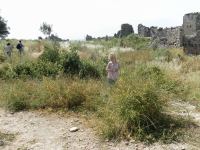 SAM_1792.JPG - 2013:05:12 08:43:38