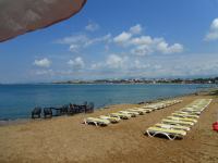 SAM_1796.JPG - 2013:05:12 08:54:01