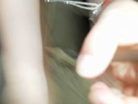 SAM_1847.JPG - 2013:05:14 10:14:57