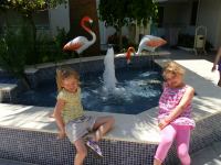 SAM_1897.JPG - 2013:05:16 11:17:13