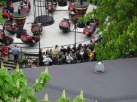 P5070033.JPG - 2004:05:07 16:05:40