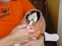 P4060037.JPG - 2004:04:06 10:10:11