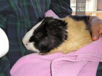 P4090044.JPG - 2004:04:09 10:46:36