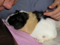 P4110050.JPG - 2004:04:11 13:32:48