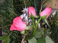 17.JPG - 2004:03:03 15:32:16