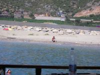 P1010021.JPG - 0000:00:00 00:00:00