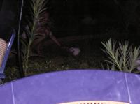 P1010026.JPG - 0000:00:00 00:00:00