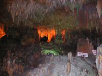 P1010038.JPG - 0000:00:00 00:00:00