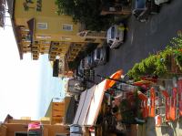 P1010039.JPG - 0000:00:00 00:00:00