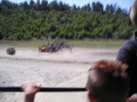 P1010044.JPG - 0000:00:00 00:00:00