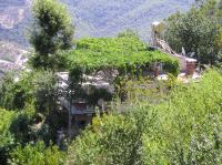 P1010046.JPG - 0000:00:00 00:00:00