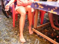 P1010058.JPG - 0000:00:00 00:00:00