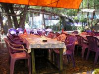 P1010062.JPG - 0000:00:00 00:00:00