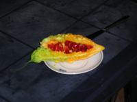 P1010071.JPG - 0000:00:00 00:00:00