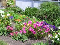 P1010010.JPG - 0000:00:00 00:00:00