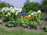 P1010011.JPG - 0000:00:00 00:00:00