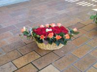 P3050002.JPG - 2004:03:05 11:03:17