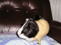 P3110006.JPG - 2004:03:11 07:22:14