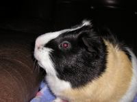 P3110008.JPG - 2004:03:11 07:22:53