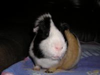 P3110009.JPG - 2004:03:11 07:23:21